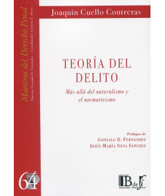 TEORÍA DEL DELITO
