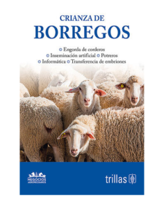 CRIANZA DE BORREGOS