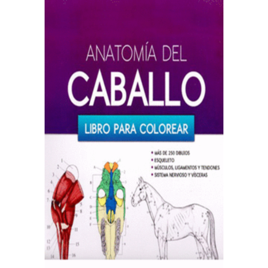 ANATOMIA DEL CABALLO. Libro para colorear