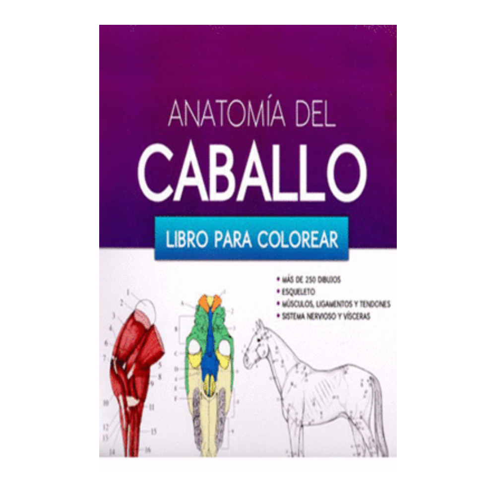 ANATOMIA DEL CABALLO. Libro para colorear