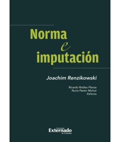 NORMA E IMPUTACIÓN