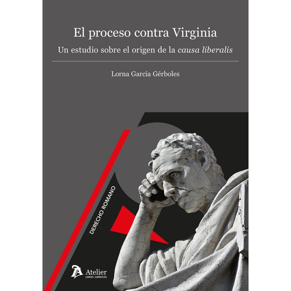 EL PROCESO CONTRA VIRGINIA