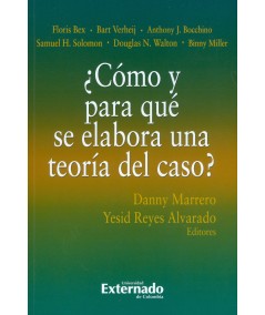 ¿CÓMO Y PARA QUÉ SE ELABORA UNA TEORÍA DEL CASO?
