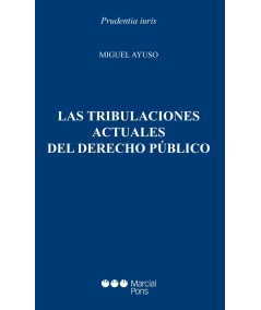 LAS TRIBULACIONES ACTUALES DEL DERECHO PÚBLICO