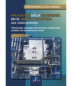 APLICACION DE LA BIOENERGIA EN EL AMBITO INDUSTRIAL