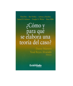 ¿CÓMO Y PARA QUÉ SE ELABORA UNA TEORÍA DEL CASO?