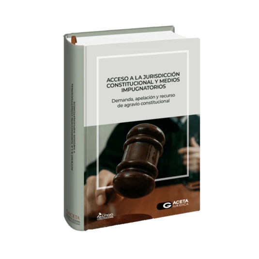 ACCESO A LA JURISDICCIÓN CONSTITUCIONAL Y MEDIOS IMPUGNATORIOS