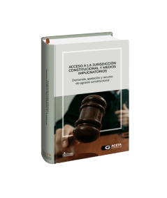 ACCESO A LA JURISDICCIÓN CONSTITUCIONAL Y MEDIOS IMPUGNATORIOS