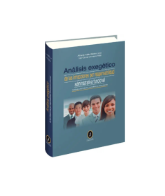 ANÁLISIS EXEGÉTICO DE LAS INFRACCIONES POR RESPONSABILIDAD ADMINISTRATIVA FUNCIONAL