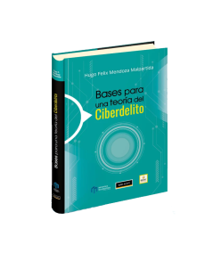 BASES PARA UNA TEORÍA DEL CIBERDELITO