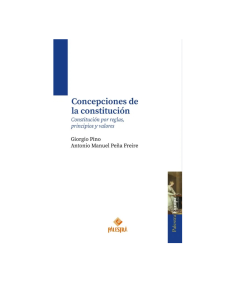 CONCEPCIONES DE LA CONSTITUCIÓN.