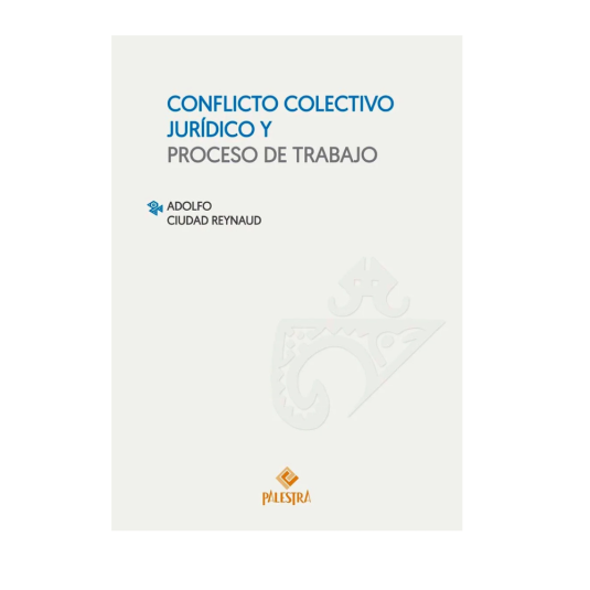 CONFLICTO COLECTIVO JURÍDICO Y PROCESO DE TRABAJO