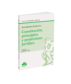 CONSTITUCIÓN, PRINCIPIOS Y POSITIVISMO JURÍDICO