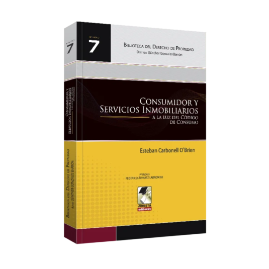 Consumidor y servicio inmobiliarios a la luz del código de consumo