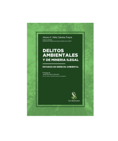 DELITOS AMBIENTALES Y DE MINERÍA ILEGAL