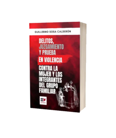 DELITOS, JUZGAMIENTO Y PRUEBA EN VIOLENCIA CONTRA LA MUJER E INTEGRANTES DEL GRUPO FAMILIAR