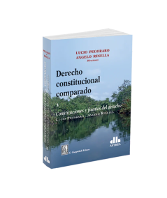 DERECHO CONSTITUCIONAL COMPARADO. Volúmen 3