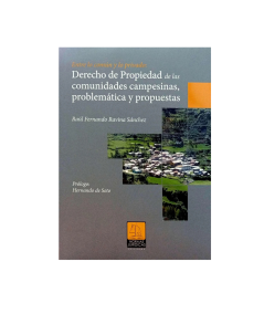 DERECHO DE PROPIEDAD DE LAS COMUNIDADES CAMPESINAS, PROBLEMÁTICA Y PROPUESTAS
