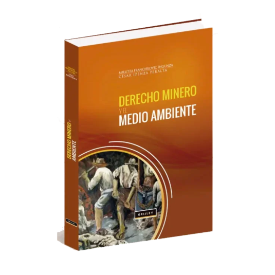 DERECHO MINERO Y AMBIENTE