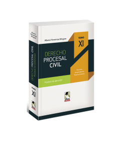 DERECHO PROCESAL CIVIL. Tomo XI. Procesos de ejecución