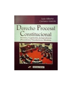DERECHO PROCESAL CONSTITUCIONAL
