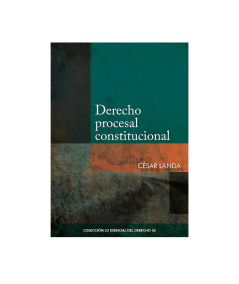 DERECHO PROCESAL CONSTITUCIONAL