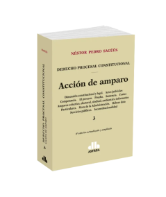 DERECHO PROCESAL CONSTITUCIONAL. ACCIÓN DE AMPARO