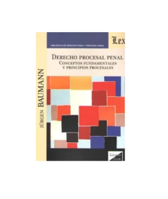 DERECHO PROCESAL PENAL. Conceptos fundamentales y principios procesales