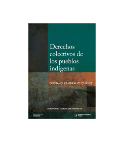 DERECHOS COLECTIVOS DE LOS PUEBLOS INDÍGENAS