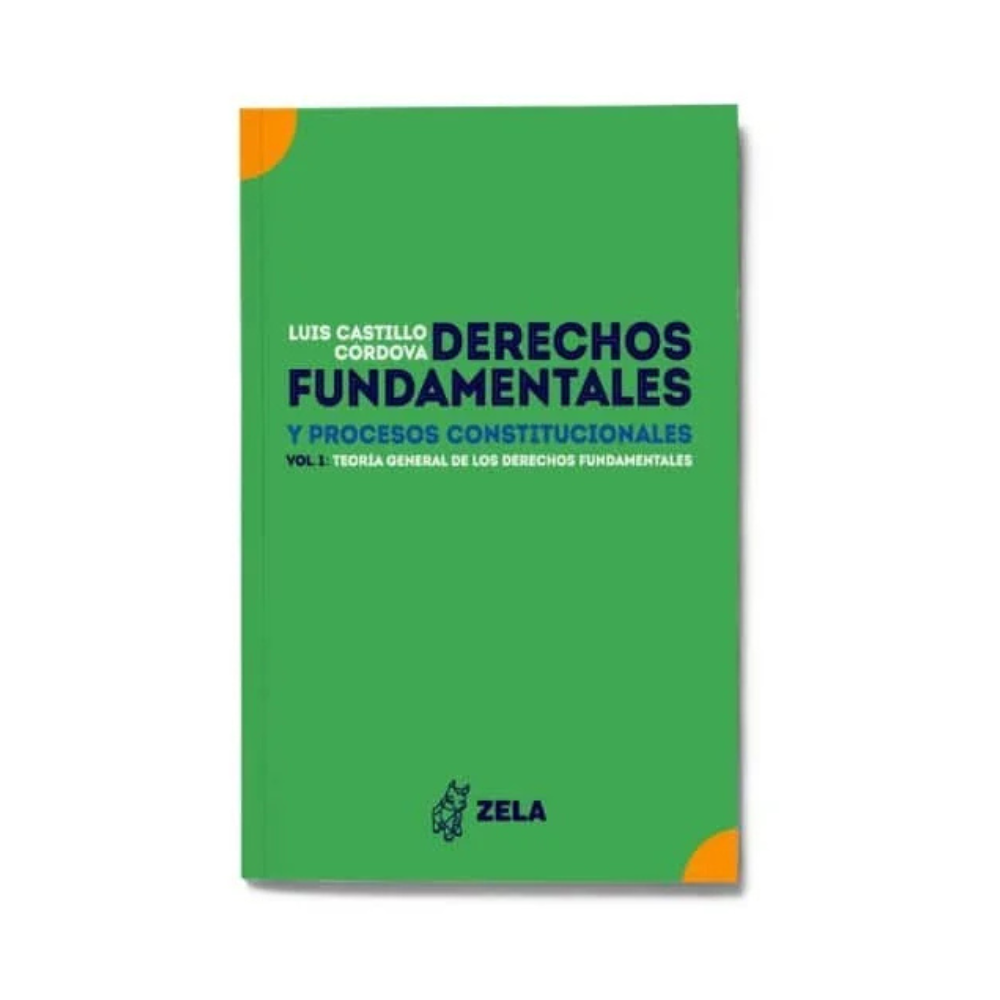 DERECHOS FUNDAMENTALES Y PROCESOS CONSTITUCIONALES