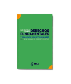 DERECHOS FUNDAMENTALES Y PROCESOS CONSTITUCIONALES