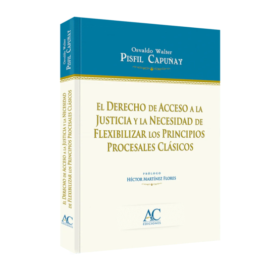 El Derecho de Acceso a la Justicia y la necesidad de flexibilizar los principios procesales clásicos