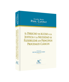 El Derecho de Acceso a la Justicia y la necesidad de flexibilizar los principios procesales clásicos