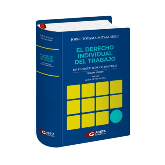 EL DERECHO INDIVIDUAL DEL TRABAJO. Un enfoque teórico-práctico