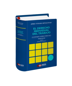 EL DERECHO INDIVIDUAL DEL TRABAJO. Un enfoque teórico-práctico