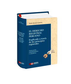 EL DERECHO REGISTRAL PERUANO