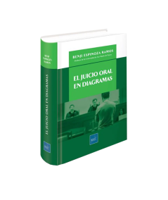 EL JUICIO ORAL EN DIAGRAMAS