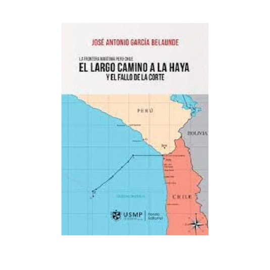 EL LARGO CAMINO A LA HAYA Y EL FALLO DE LA CORTE