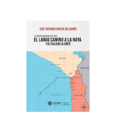 EL LARGO CAMINO A LA HAYA Y EL FALLO DE LA CORTE