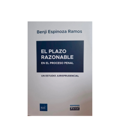 EL PLAZO RAZONABLE EN EL PROCESO PENAL