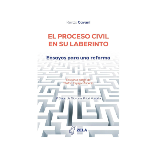 EL PROCESO CIVIL EN SU LABERINTO