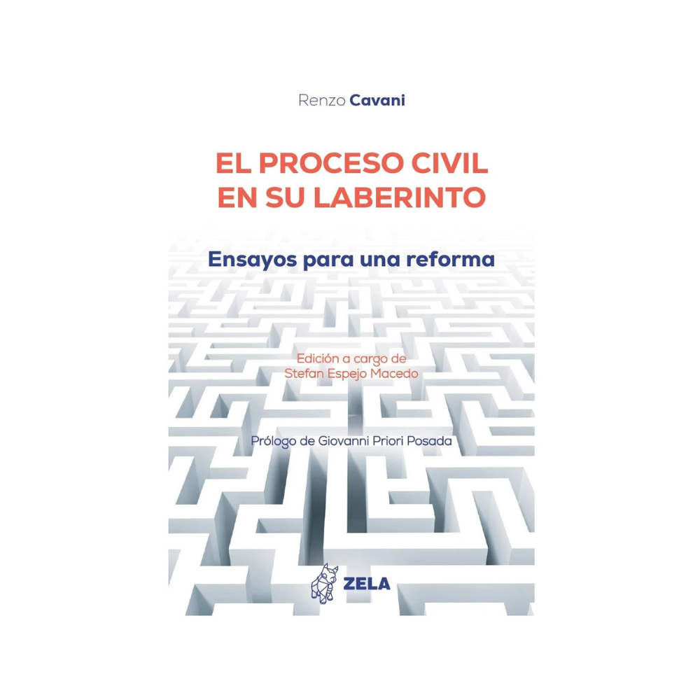 EL PROCESO CIVIL EN SU LABERINTO