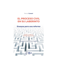 EL PROCESO CIVIL EN SU LABERINTO