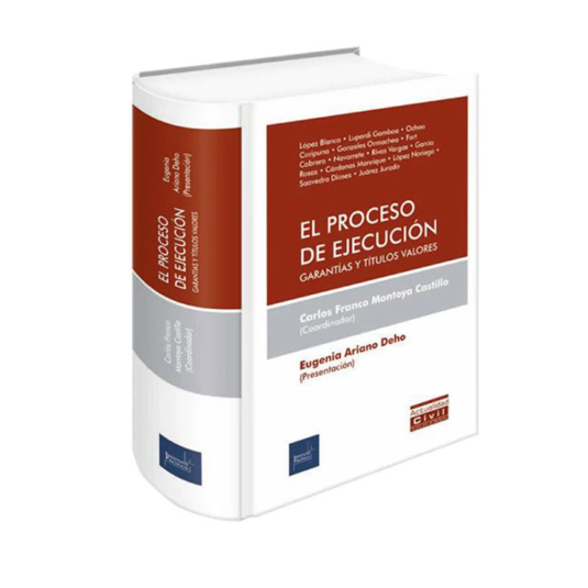 EL PROCESO DE EJECUCIÓN