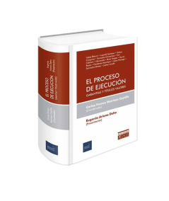 EL PROCESO DE EJECUCIÓN