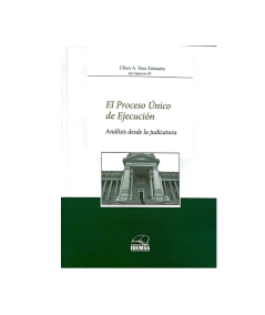 EL PROCESO UNICO DE EJECUCION
