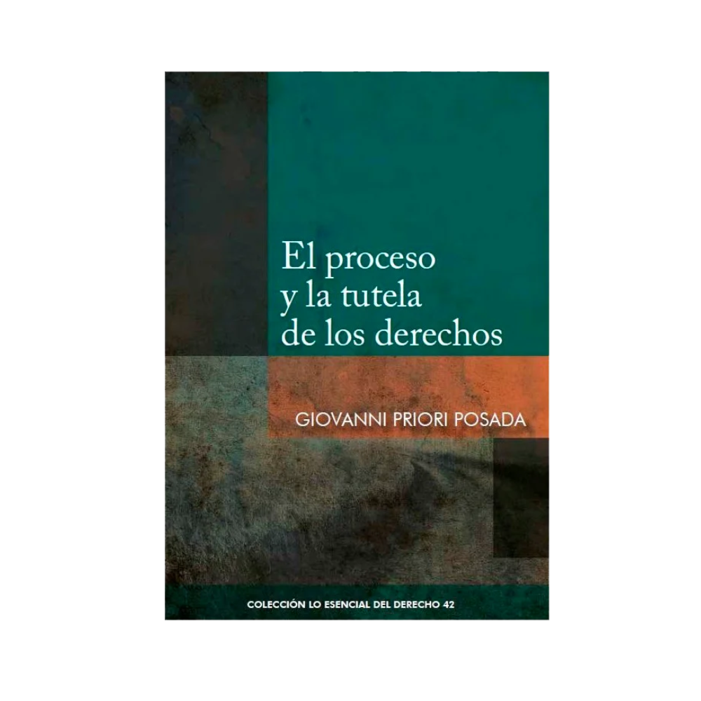 EL PROCESO Y LA TUTELA DE LOS DERECHOS