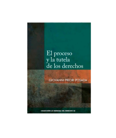 EL PROCESO Y LA TUTELA DE LOS DERECHOS