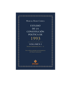 ESTUDIO DE LA CONSTITUCIÓN POLÍTICA DE 1993. VOLÚMEN I