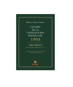 ESTUDIO DE LA CONSTITUCIÓN POLÍTICA DE 1993. VOLÚMEN II